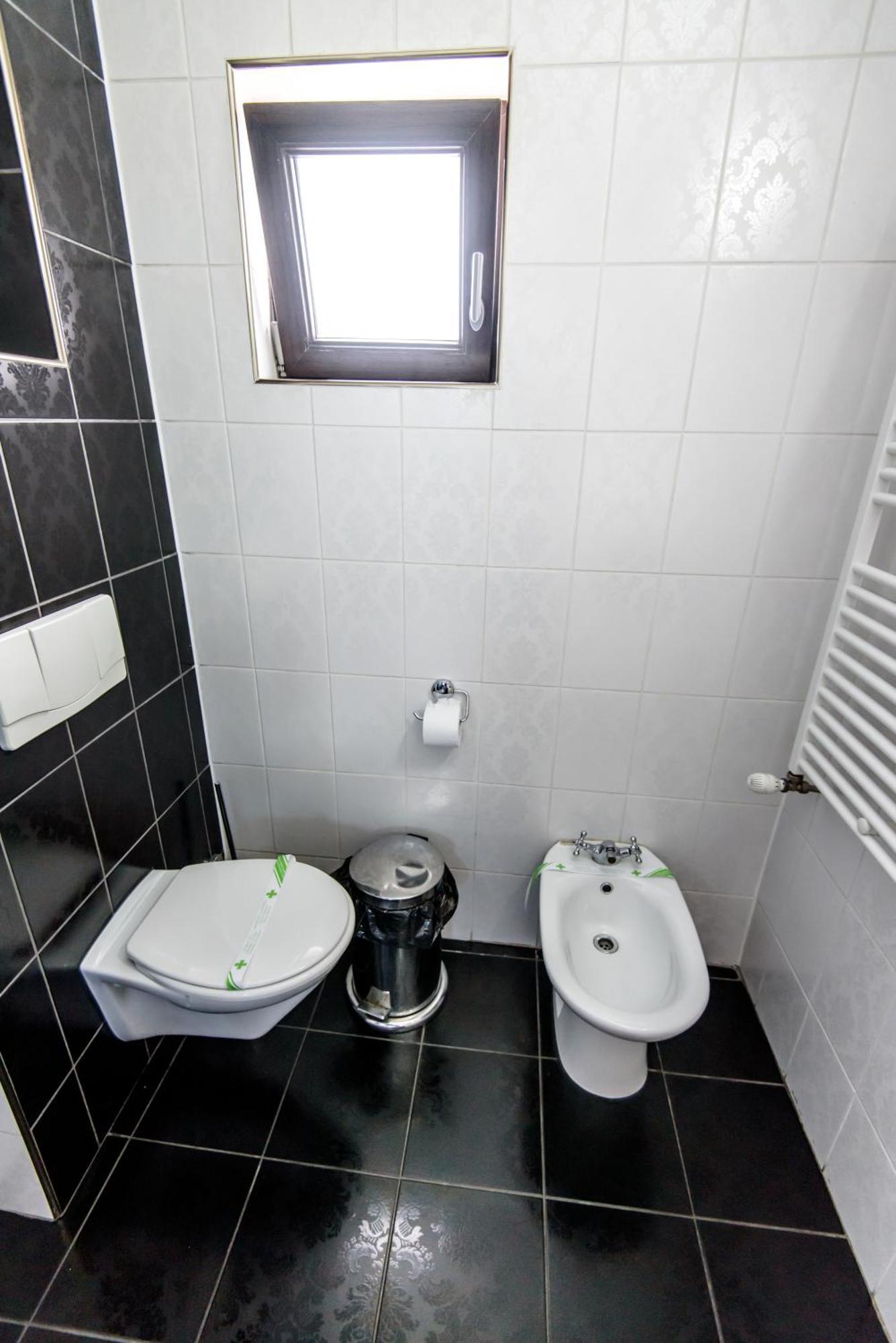 Guest house Pensiunea Paradis